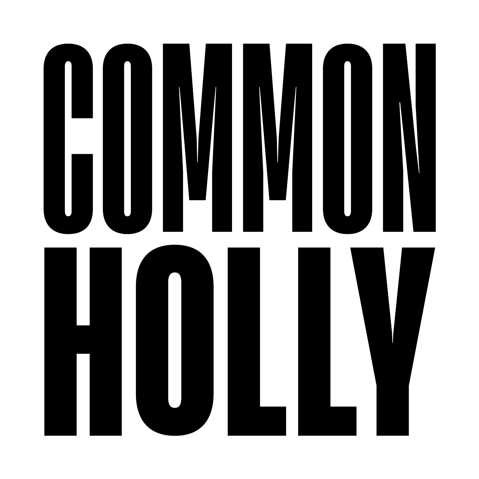 Common Holly - Left of the Dial 2025 - Rotterdam